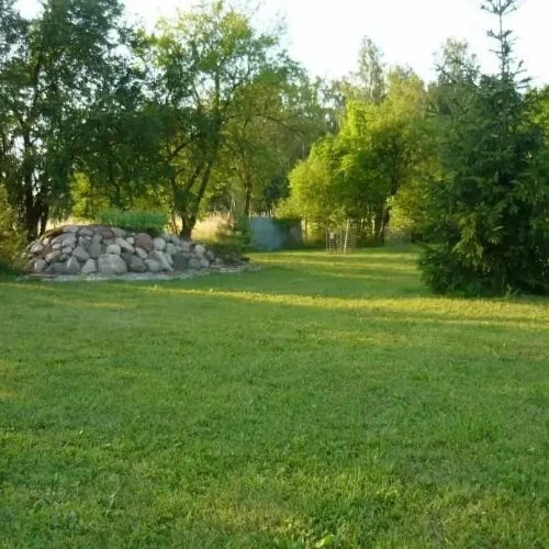 zdjęcie działki - zielona natura