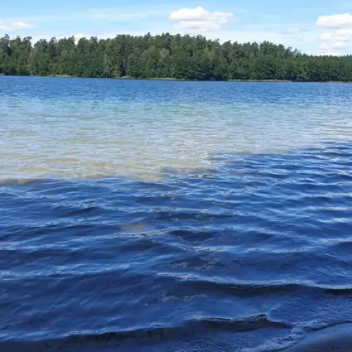 zdjecia jeziora, woda i las ujęcie drugie