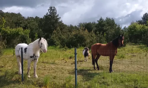 Zrzut ekranu 2025-11-22 200150